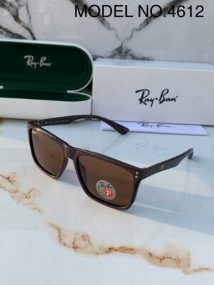 Rayban 4612 Brown Sunglasses
