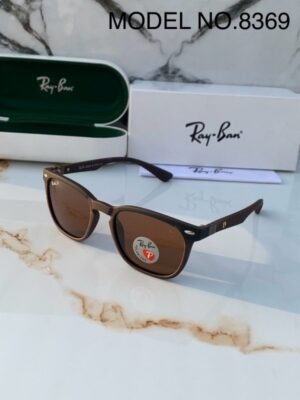 Rayban 8369 Brown Sunglasses